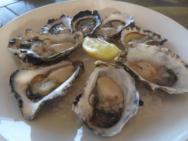 gallery_oysters_01